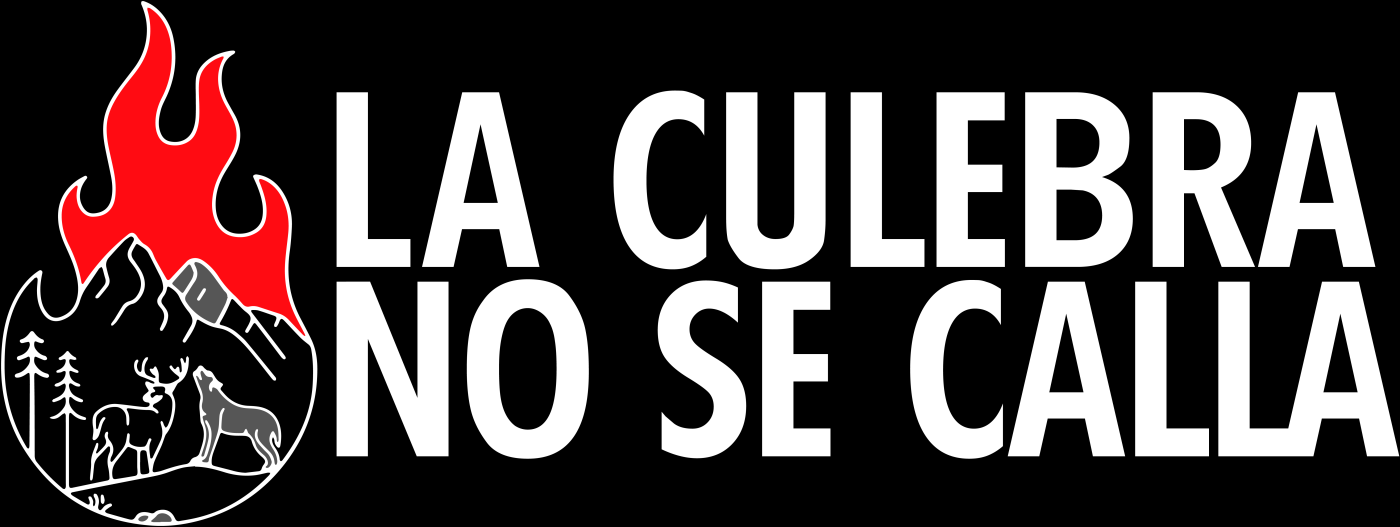 Resumen Acciones «La culebra no se calla».