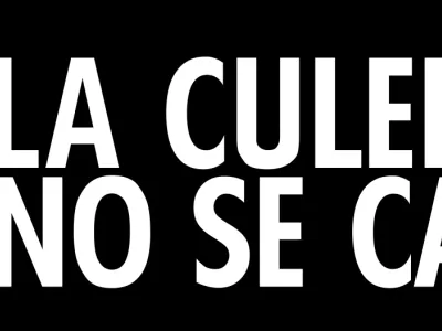 Resumen Acciones «La culebra no se calla».